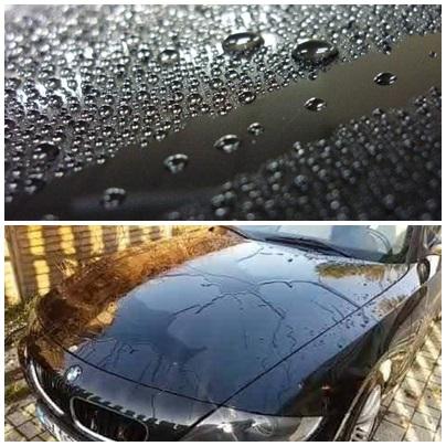 ceara auto